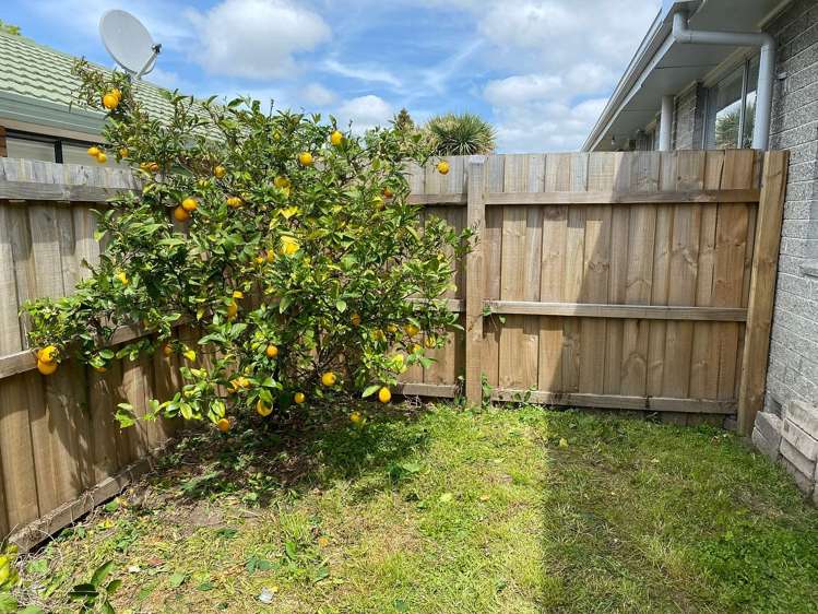 1/90A Lincoln Road Spreydon_11