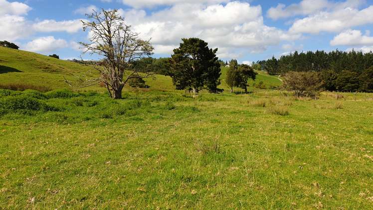 Lot 2/347 Porter Road Paparoa_28