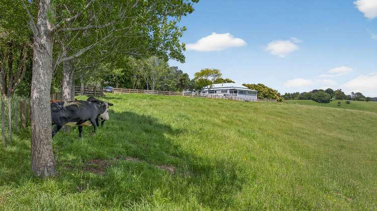 637C Kohanga Road Onewhero_31