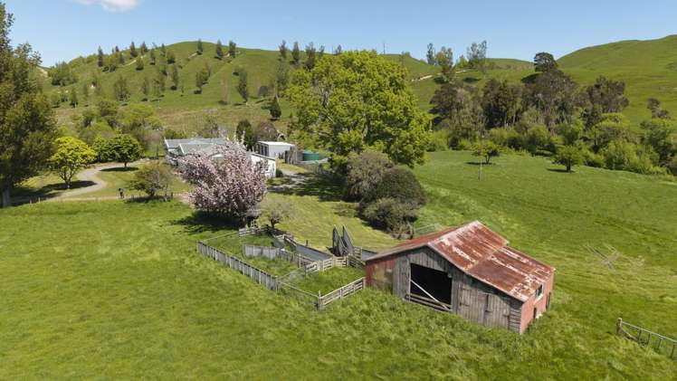 1663 Opaki Kaiparoro Road Masterton_17