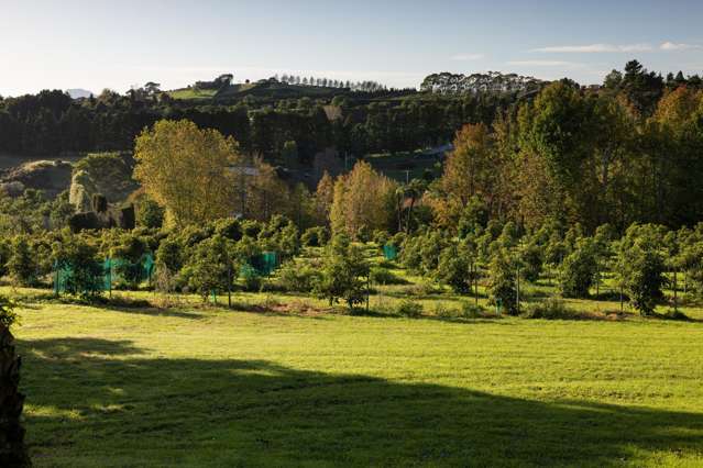 1555B State Highway 2 Whakamarama_1