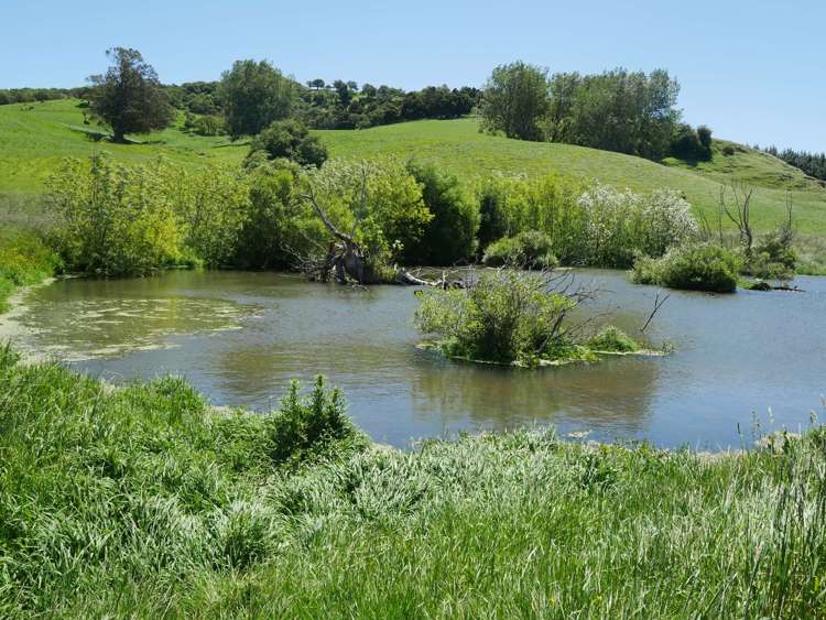 996 Goodwood Road Palmerston_21