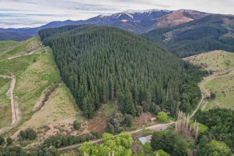 245 Sladdens Bush Road Oxford_18