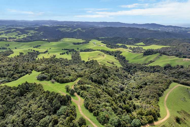 123 Waipipi Road Whananaki_45
