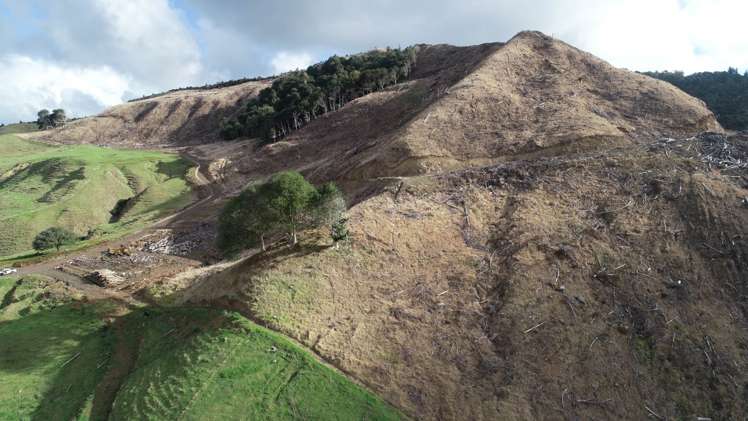 481 Moore Road Pipiwai_10