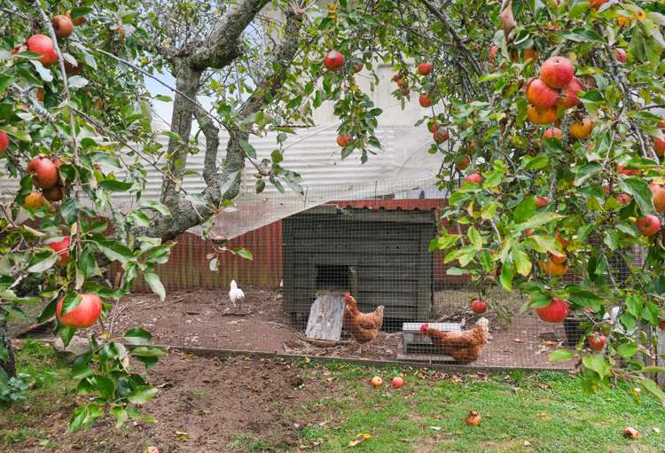 1000f Hamurana Road Hamurana_16