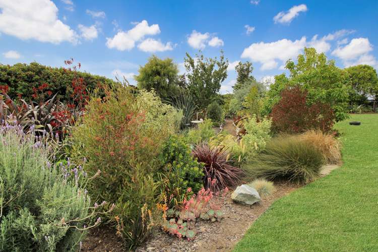 24 Bergin Road Foxton_1