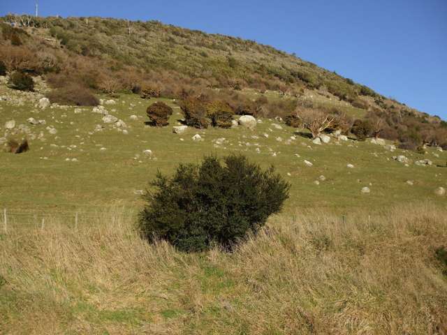 Papatowai Highway Papatowai/Pounawea_2