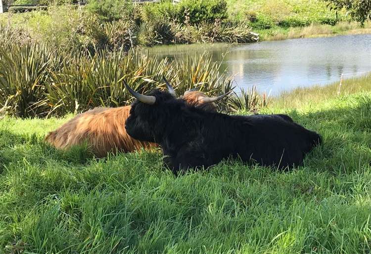 160 Milne Drive Paraparaumu_31