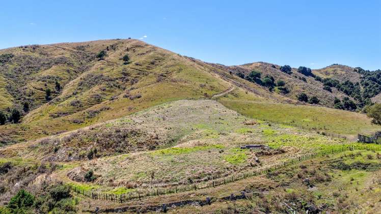 650 Falls Road Maramarua_12