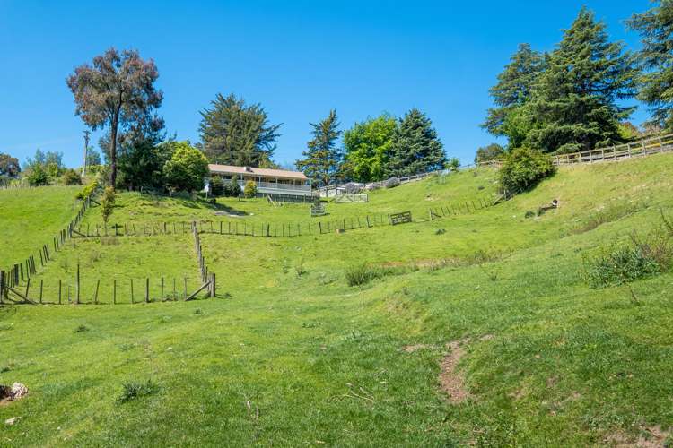 108 Lane Road Havelock North_15