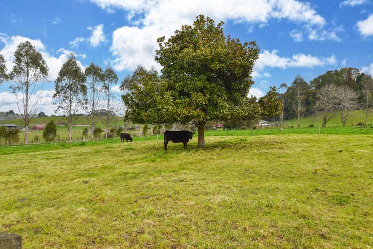 379 Tauranga Direct Road Hamurana_49