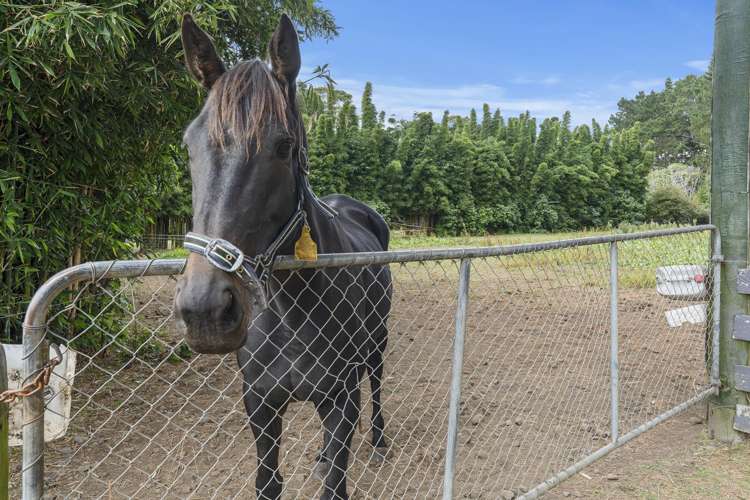 29 Townsend Road Paraite_44