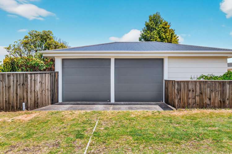 11 Kiwi Street Bird Area_19