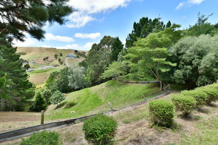 3008 Kaipara Coast Highway Glorit_19