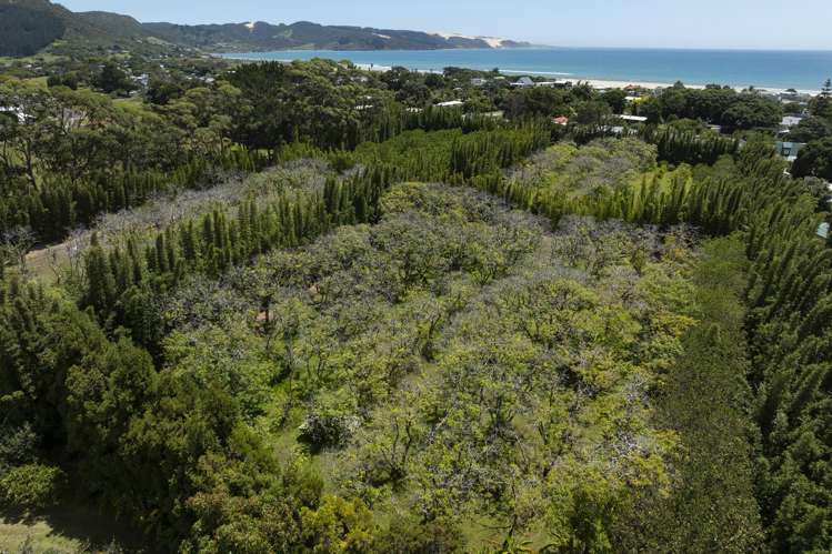 142 Takahe Road/ 2 Kaka St Ahipara_25