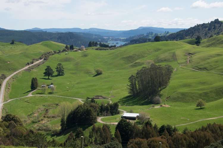 44 Coates Road Waikite Valley_5