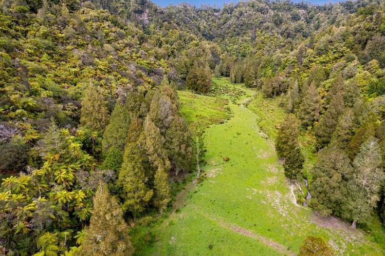 3133 Mokau Road Mokau_9