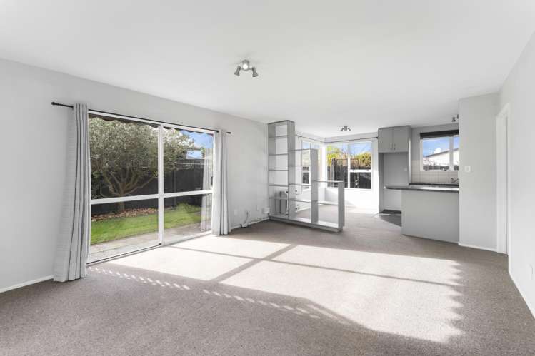 5/822 Main North Road Belfast_3