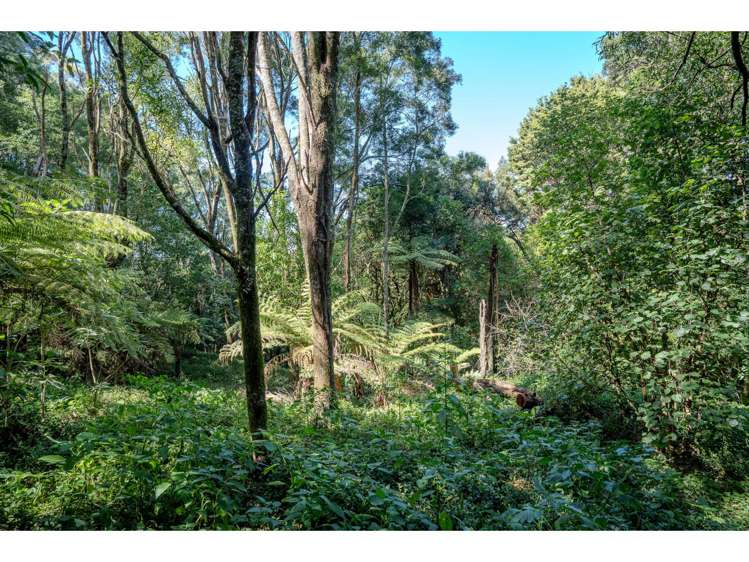 126a Montrose Road Kerikeri_24
