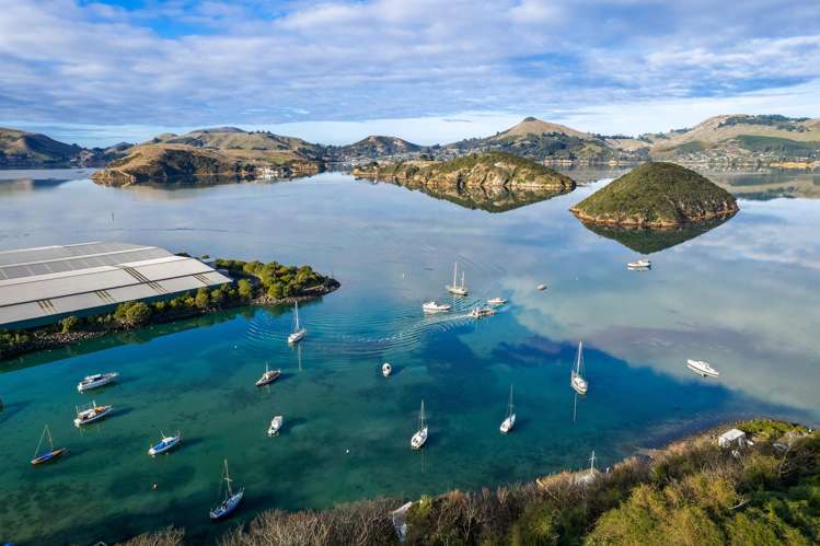 34 Island Terrace Port Chalmers_23