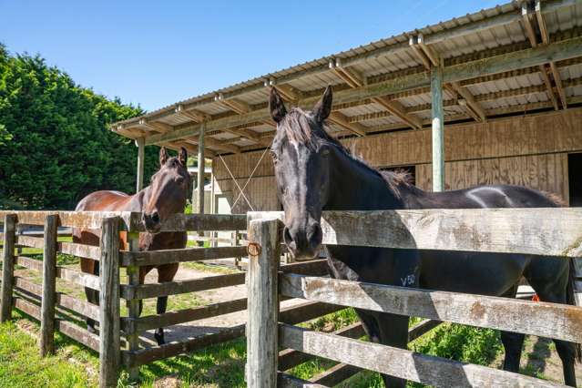 REFINED COUNTRY LIVING WITH EQUESTRIAN FACILITIES