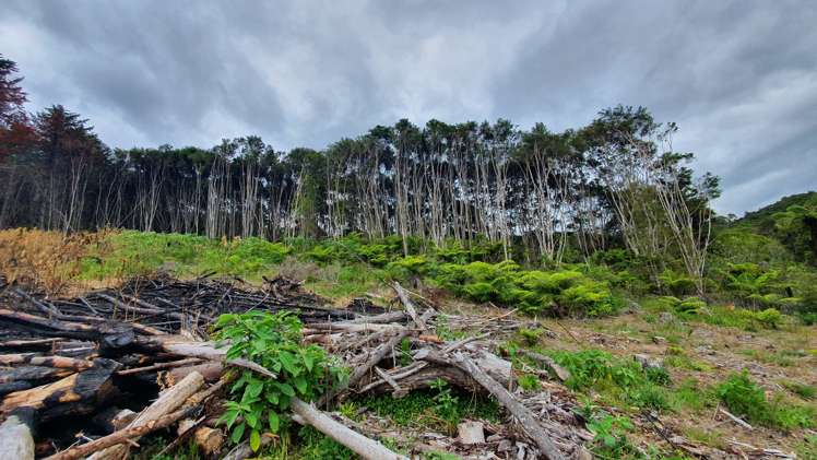 574 Honeymoon Valley Road Peria_5