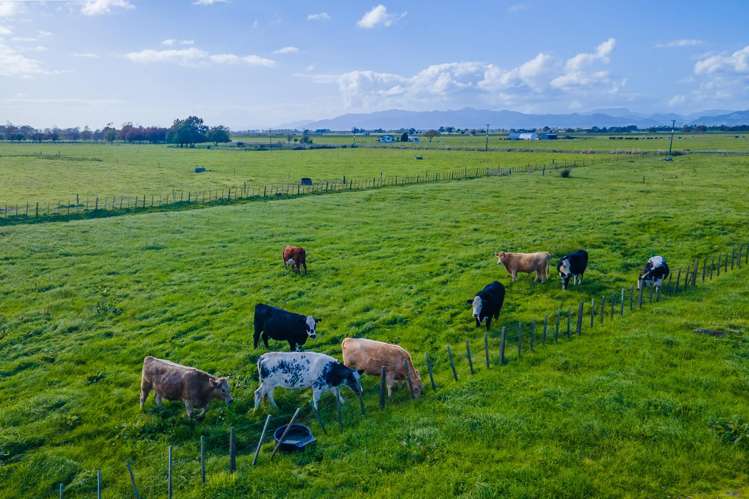 293 River Road Ngatea_8