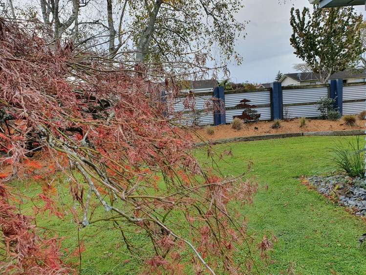 56 Haultain Street Fairfield_11