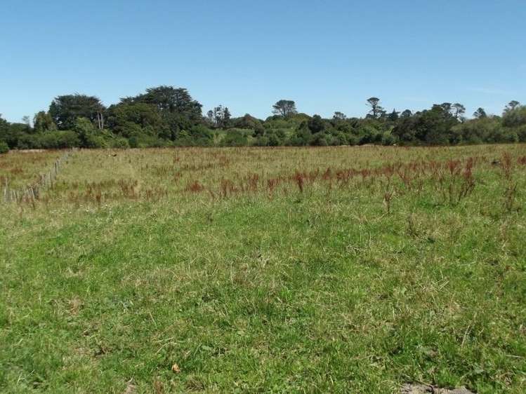 3082 Mountain Road Midhirst_50