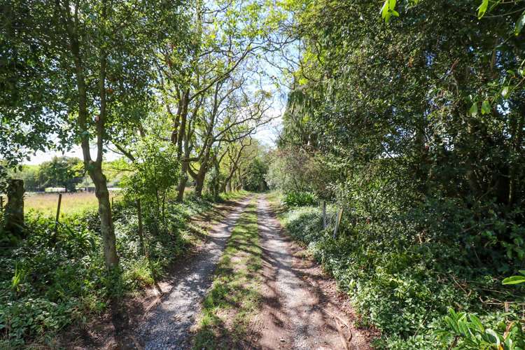 166 Barton Road Fairview_23