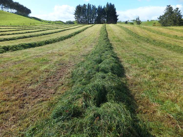 137 Ratapiko Road Ratapiko_4