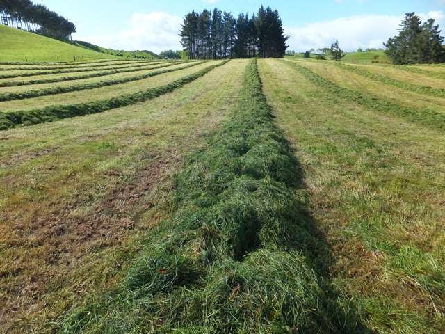 137 Ratapiko Road Ratapiko_4