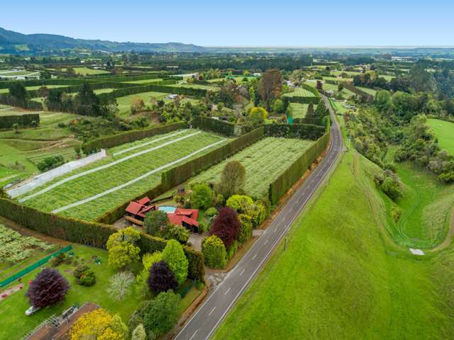 706 No 1 Road Te Puke_4