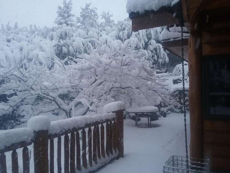 20 Lulus Lane Lyford_29