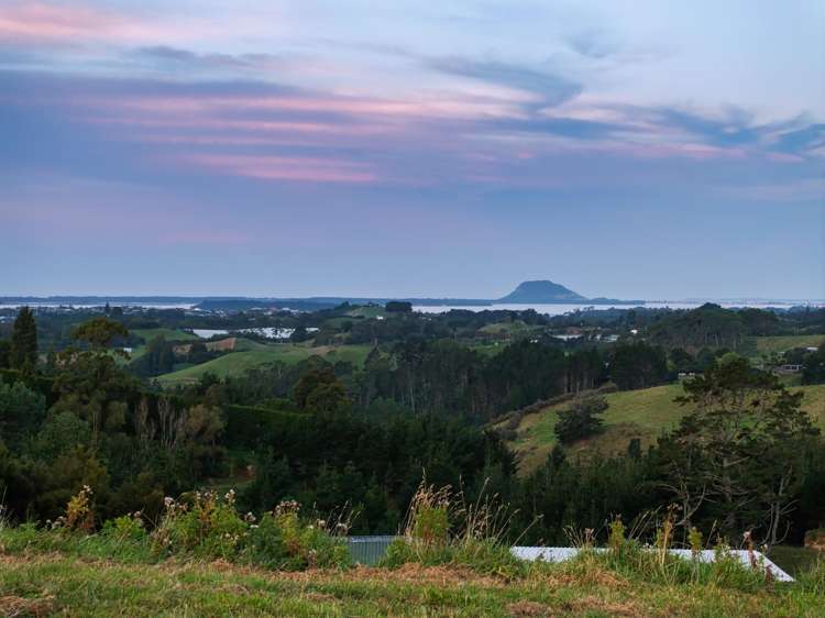 371 Esdaile Road Whakamarama_39