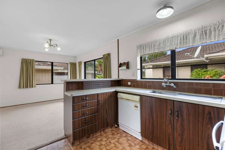 10a Norrie Street Te Puke_8