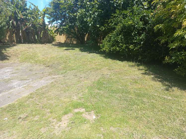 337 Roscommon Road Clendon Park_8