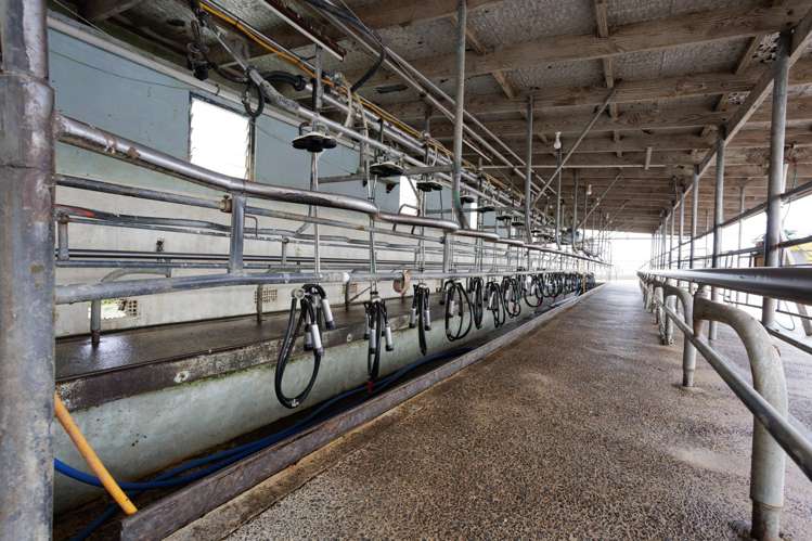 874 Wani Road Paeroa_16