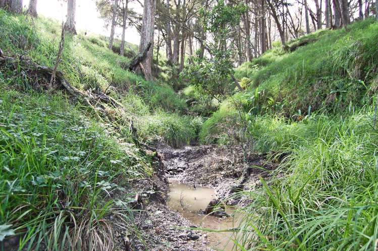 210g Pukenui Road Kaiwaka_20