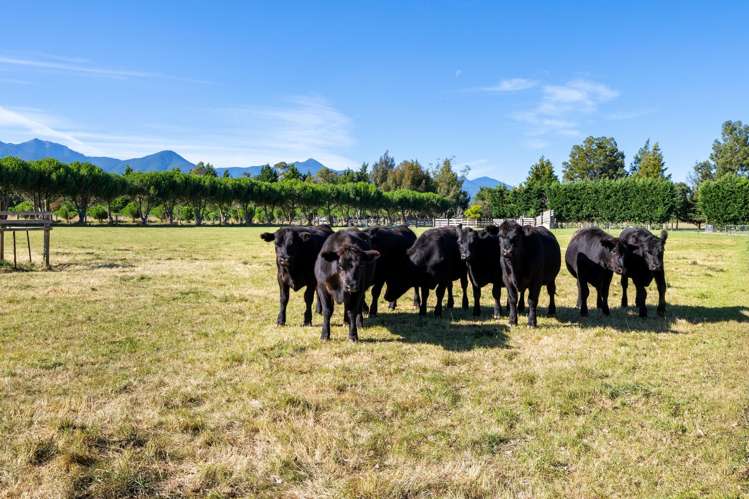 44 Senior Road Wairau Valley_26