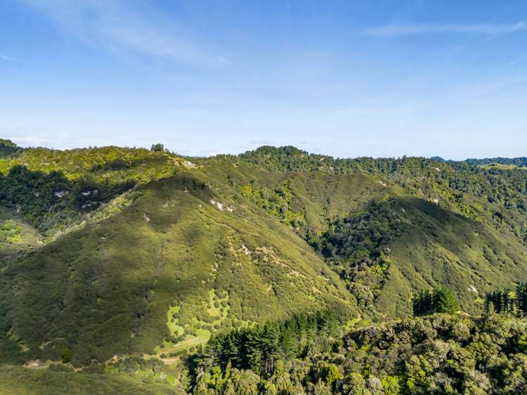 1870 Okau Road Urenui_21