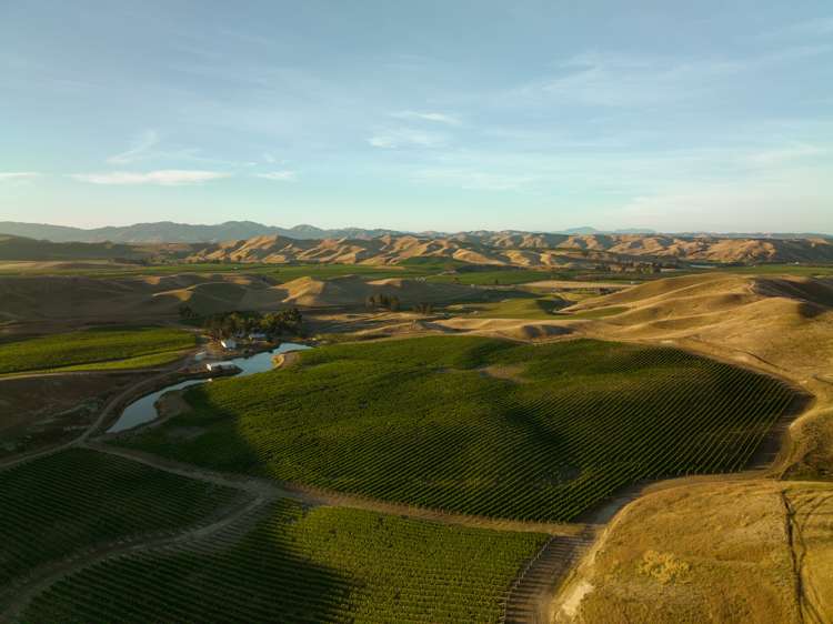 217 Caseys Road Seddon_10