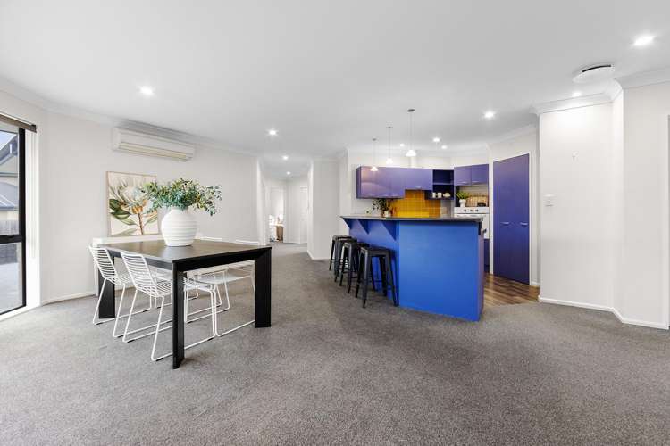 58b Osborne Road Amberley_5