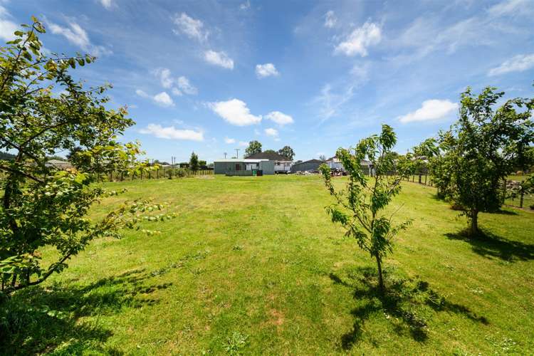 25 Flower Street Bulls_22