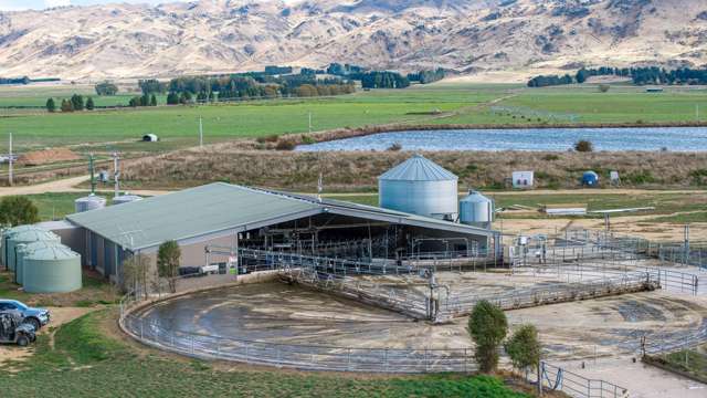 Large Scale Irrigated Dairy + Support Unit