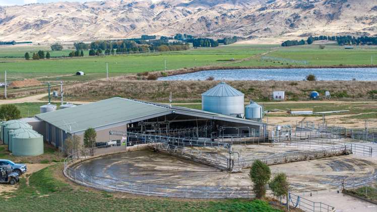 263 Puketoi Runs Road Puketoi_0