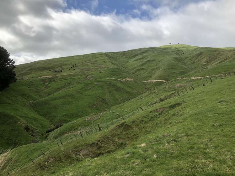 337 Saunders Road Eketahuna_22