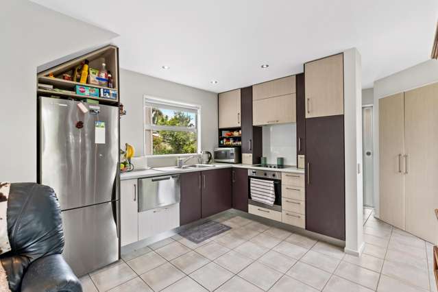 164 Strickland Street Sydenham_4