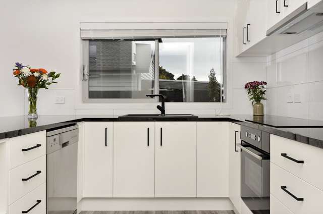 56b Willcott Street Mount Albert_1